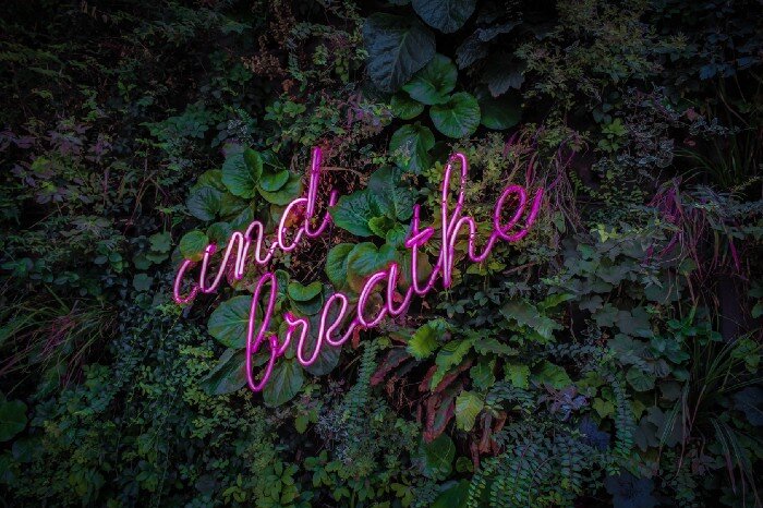 Neon "and breathe" sign overlaying green foliage. 