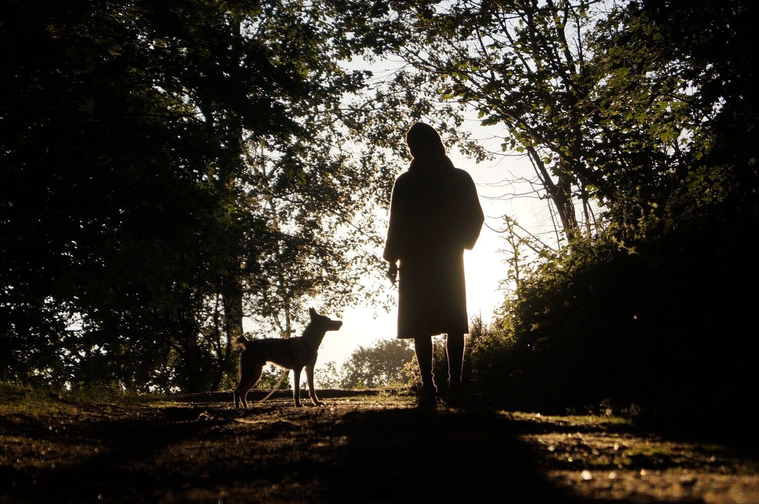 Woman standing with her dog in the woods.