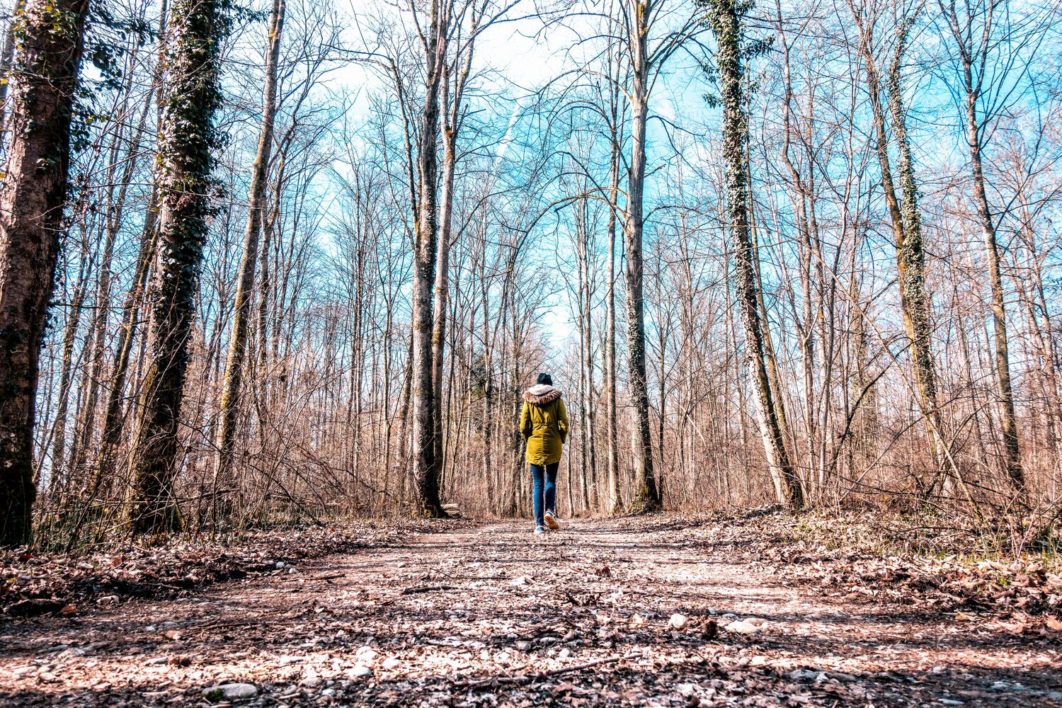 Woman walking in the woods.