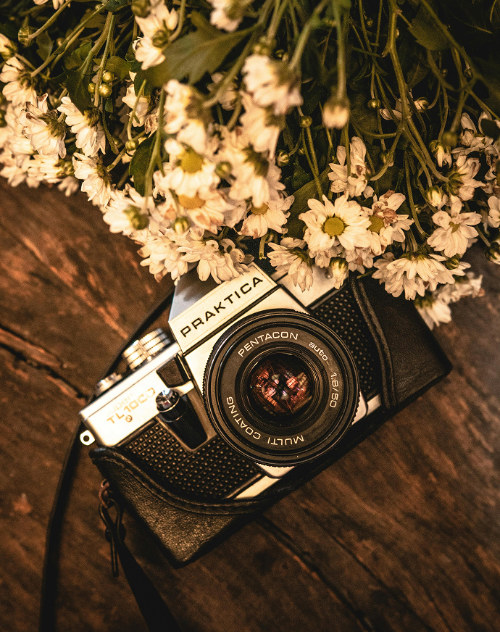 Anonymous contributor image, featuring a 35-millimeter camera on a table with flowers.
