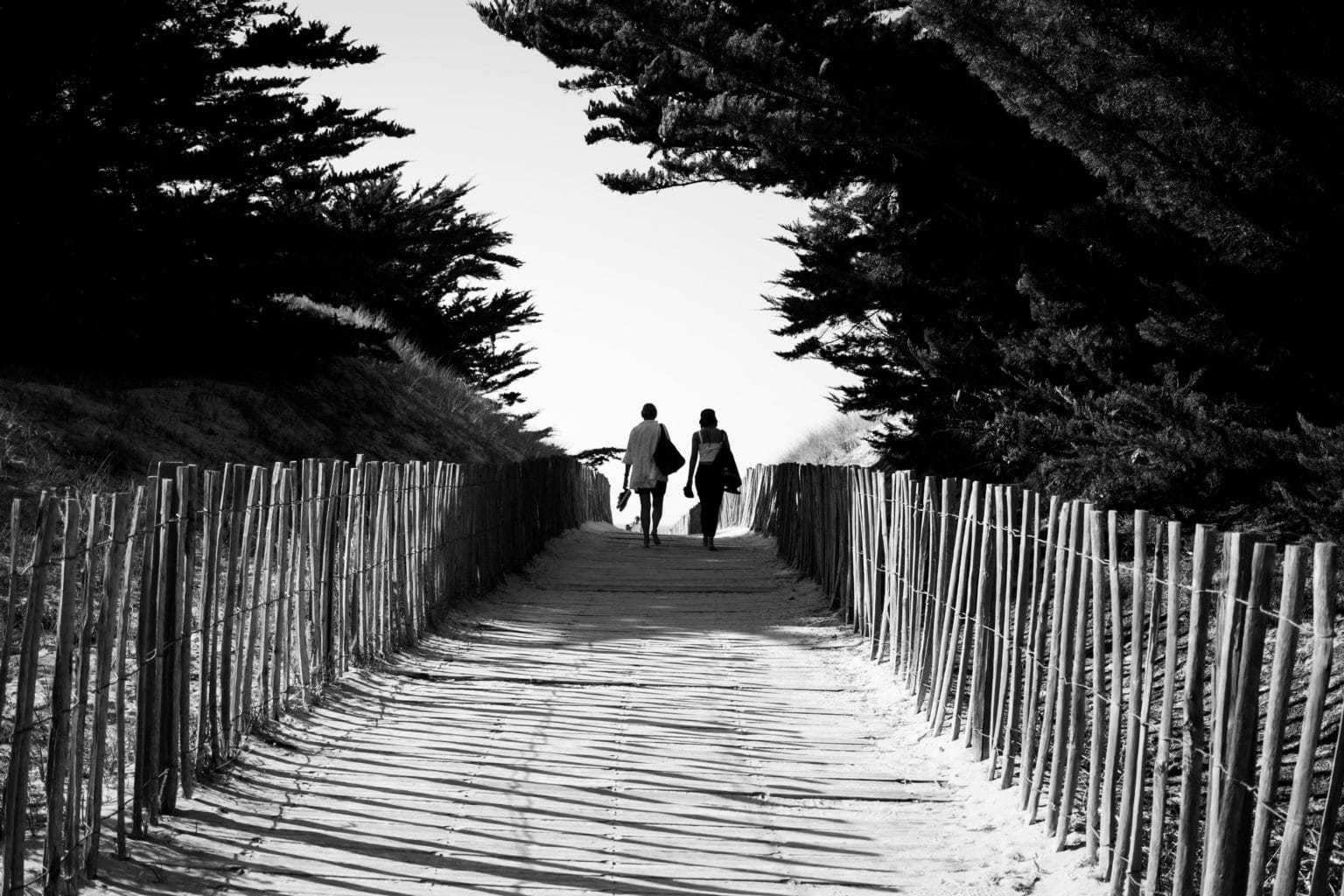 Black and white photo of two people walking together along a path.