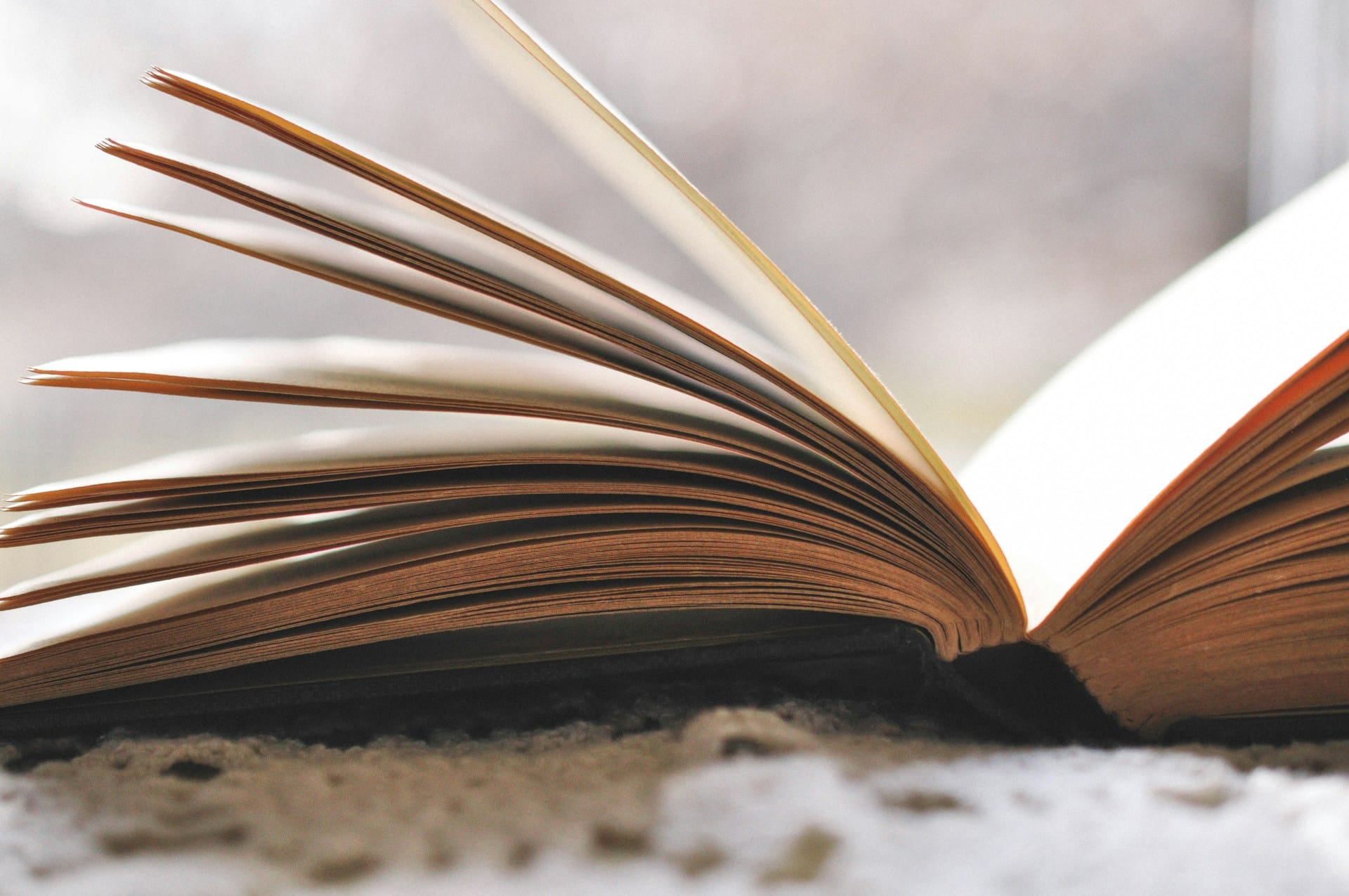 A close-up of an open book.