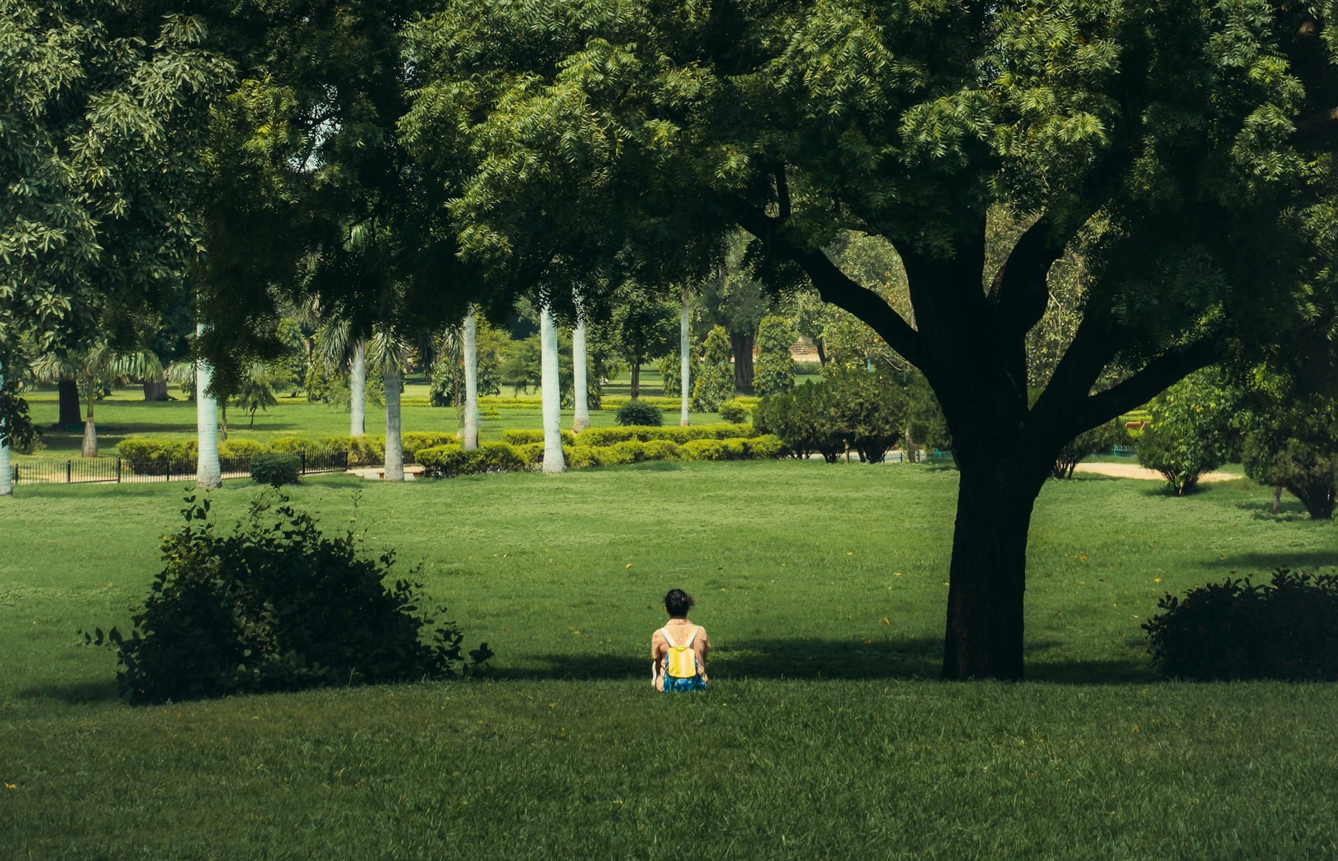 A child sitting alone in a grassy area.